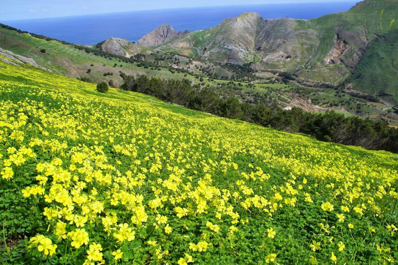 Porto Santo - Pedras Pretas Beach House 외부 사진